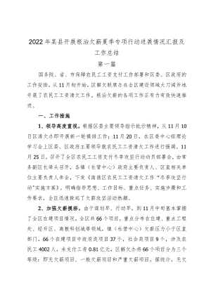 2022某县开展根治欠薪夏季专项行动进展情况汇报及工作总结3篇.docx