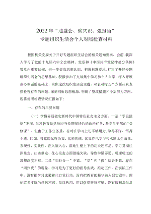 2022“迎盛会、聚共识、强担当”专题组织生活会个人对照检查材料.docx