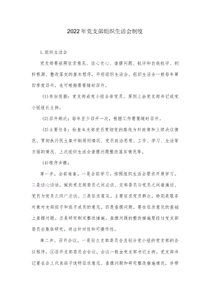 2022党支部组织生活会制度.docx