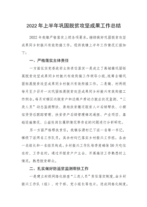 2022上半巩固脱贫攻坚成果工作总结.docx