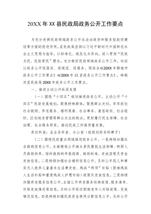 XX县民政局政务公开工作要点.docx