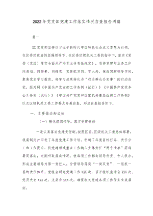 2022党支部党建工作落实情况自查报告两篇.docx