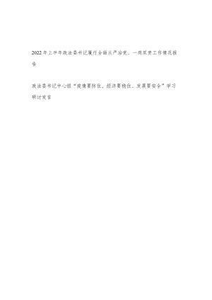 2022上半政法委书记履行全面从严治党、一岗双责工作情况报告和“疫情要防住、经济要稳住、发展要安全”学习研讨发言.docx