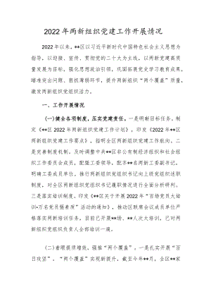 2022两新组织党建工作开展情况.docx