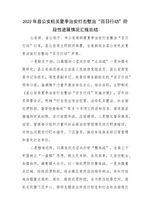 2022县公安机关夏季治安打击整治“百日行动”阶段性进展情况汇报总结.docx