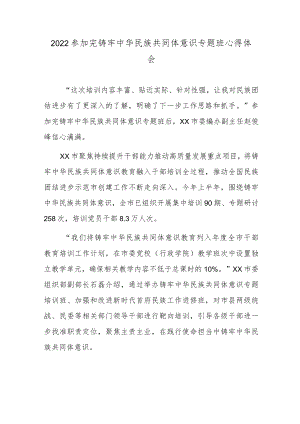2022参加完铸牢中华民族共同体意识专题班心得体会.docx