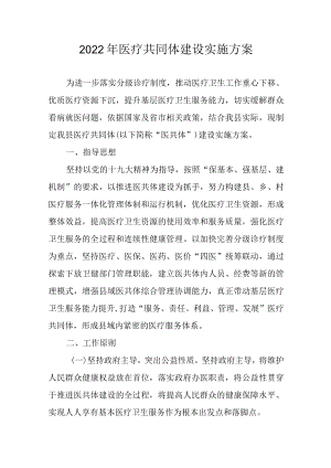2022医疗共同体建设实施方案.docx