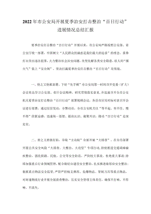 2022夏季治安打击整治“百日行动”工作情况总结汇编 五篇.docx