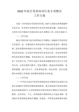 2022医疗美容培训行业专项整治工作方案.docx