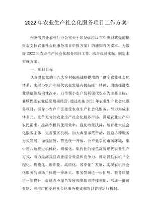2022农业生产社会化服务项目工作方案.docx