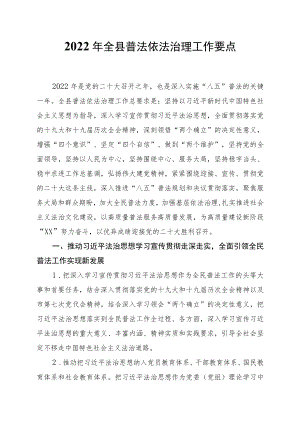 2022XX县普法依法治理工作要点.docx