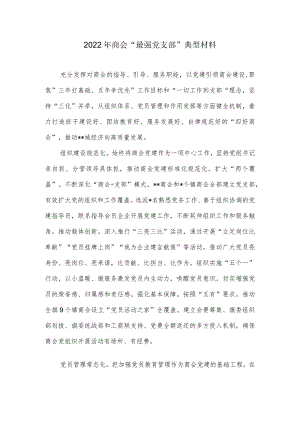 2022商会“最强党支部”典型材料.docx