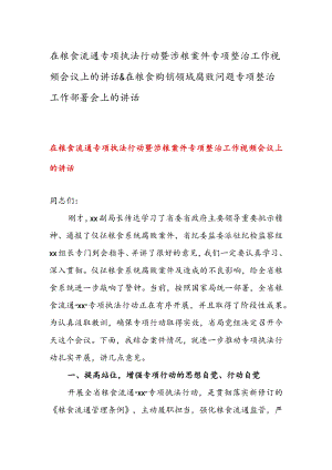 在粮食流通专项执法行动暨涉粮案件专项整治工作视频会议上的讲话 & 在粮食购销领域腐败问题专项整治工作部署会上的讲话.docx