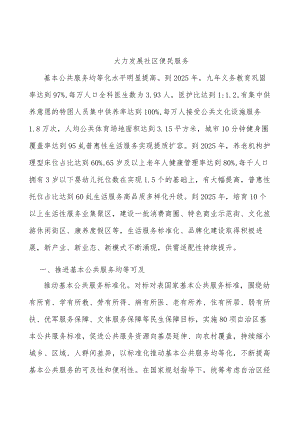 大力发展社区便民服务.docx
