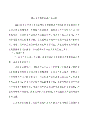 增加饲用燕麦供给行动方案.docx