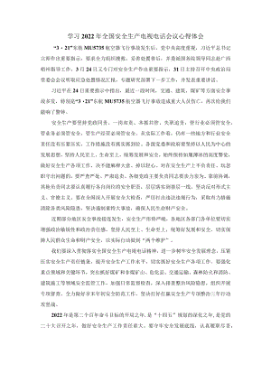 学习2022全国安全生产电视电话会议心得体会三.docx