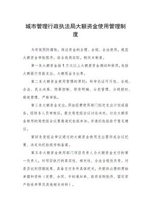 城市管理行政执法局大额资金使用管理制度.docx
