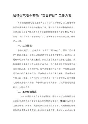 城镇燃气安全整治“百日行动”工作方案.docx