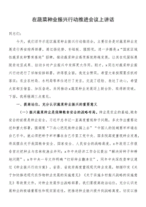 在蔬菜种业振兴行动推进会议上讲话.docx