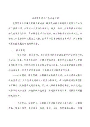 城市商业提升行动实施方案.docx