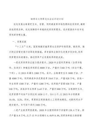 培育壮大饲草龙头企业行动计划.docx