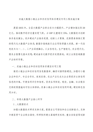 实施大数据小微企业和农村信用体系建设专项工程实施方案.docx