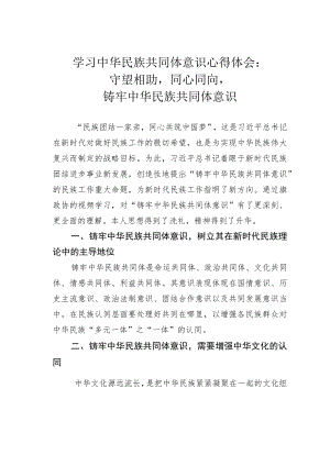 学习中华民族共同体意识心得体会：守望相助同心同向铸牢中华民族共同体意识.docx