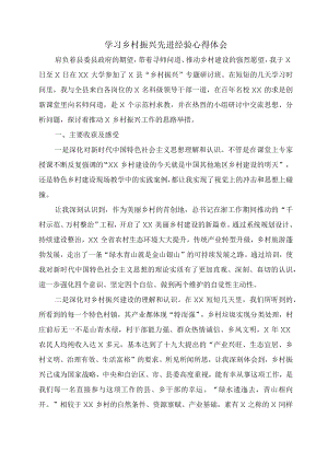 学习乡村振兴先进经验心得体会.docx