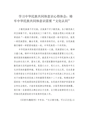 学习中华民族共同体意识心得体会：铸牢中华民族共同体意识需要“文化认同”.docx