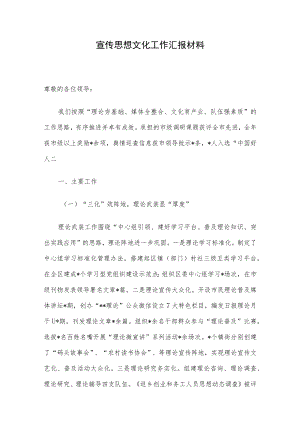 宣传思想文化工作汇报材料.docx
