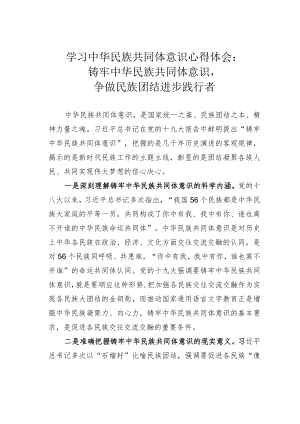 学习中华民族共同体意识心得体会：铸牢中华民族共同体意识争做民族团结进步践行者.docx