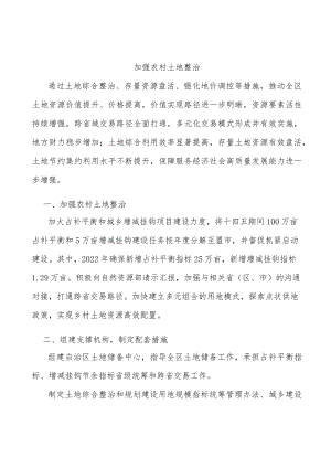 加强农村土地整治.docx