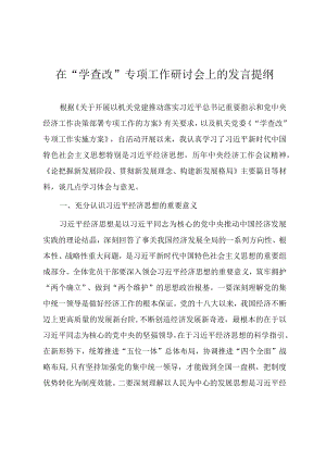 在“学查改”专项工作研讨会上的发言提纲.docx