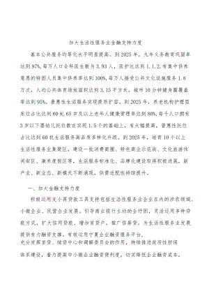 加大生活性服务业金融支持力度.docx