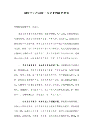国企书记在巡视工作会上的表态发言.docx