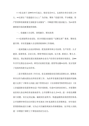国企党建经验交流：党建引领显担当 以梦为马赢青春(1).docx