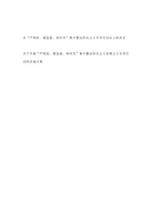在“严规矩、强监督、转作风”集中整治(乡村振兴工作中)形式主义专项行动会上的发言和实施方案.docx