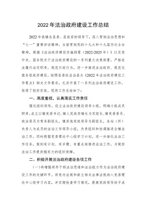 2022法治政府建设工作总结.docx