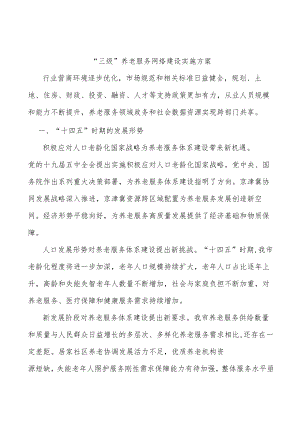 “三级”养老服务网络建设实施方案.docx