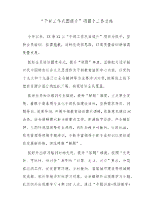 “干部工作巩固提升”项目个工作总结.docx