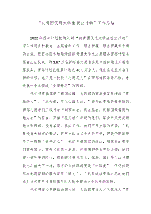 “共青团促进大学生就业行动”工作总结.docx