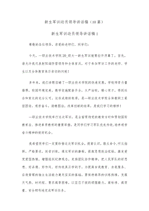 (10篇)新生军训动员领导讲话稿.docx