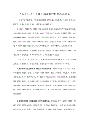 “万千行动”下乡干部谈乡村振兴心得体会.docx
