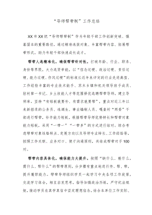 “导师帮带制”工作总结.docx
