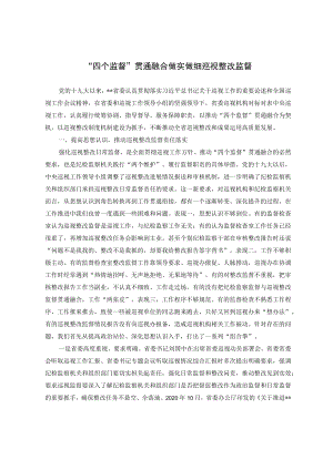 “四个监督”贯通融合 做实做细巡视整改监督.docx