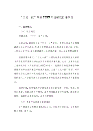 “三支一扶”项目2020绩效自评报告.docx