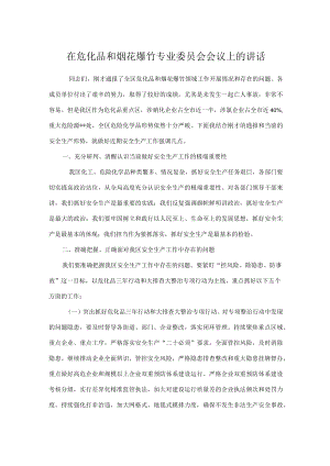在危化品和烟花爆竹专业委员会会议上的讲话.docx