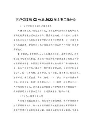 医疗保障局XX分局2022主要工作计划.docx