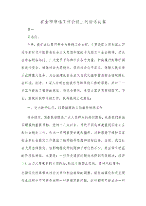 在全市维稳工作会议上的讲话两篇.docx