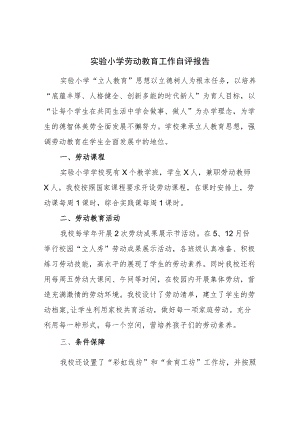 实验小学劳动教育工作自评报告.docx